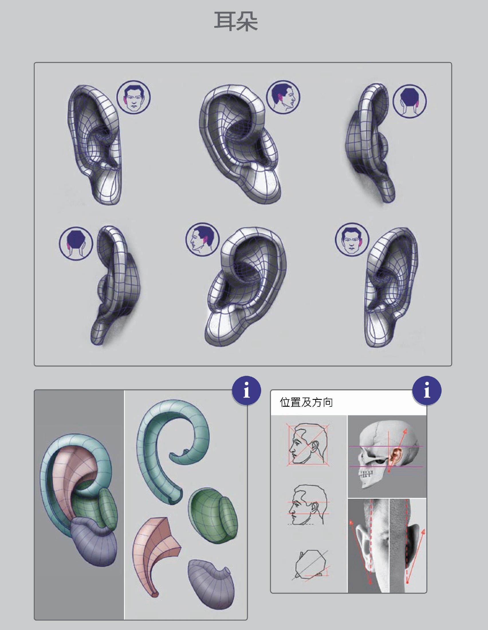耳朵结构图设计图__展板模板_广告设计_设计图库_昵图网nipic.com