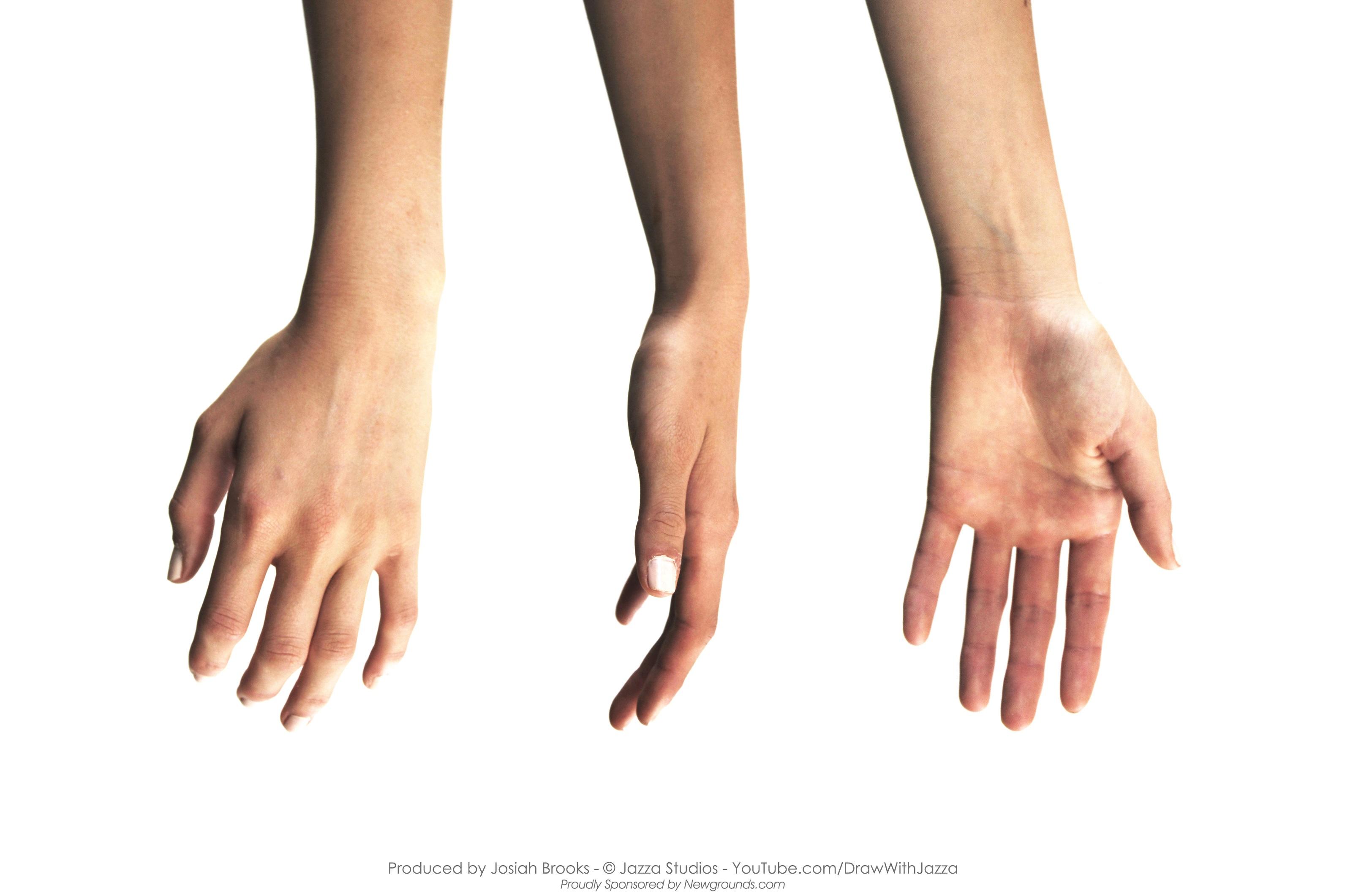 手の筋肉～繊細な指の動きを司る筋肉たち～｜Clever Body Training（クレバーボディトレーニング）