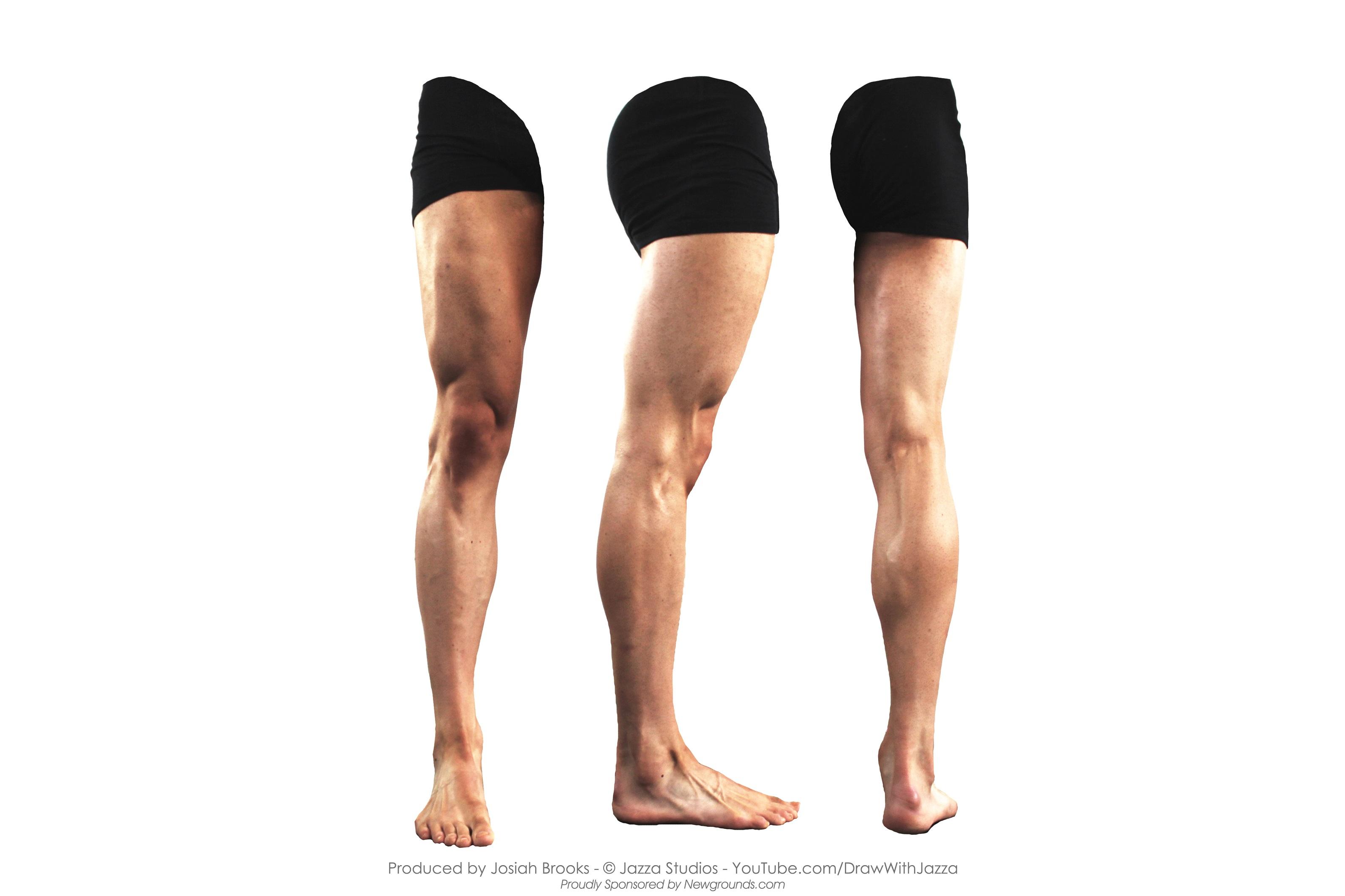 男性下肢腿部的绘画素材艺用图片