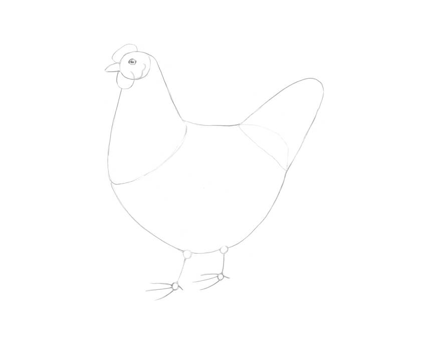 怎么画一只母鸡