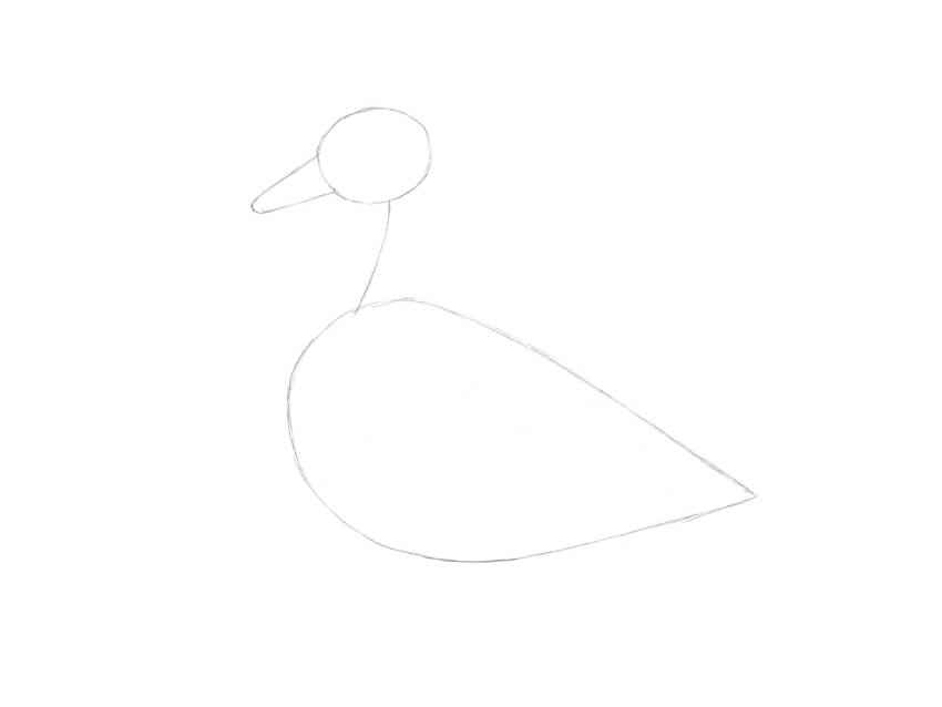 鸭子怎么画？一步步画一只鸭子