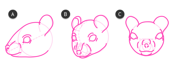 动物绘画篇：啮齿动物应该怎么画