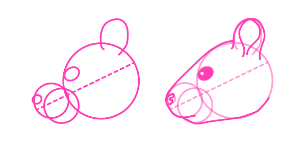 啮齿动物画：松鼠应该怎么画
