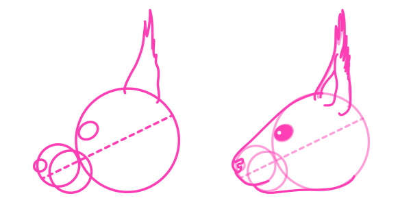 动物画：怎么画红松鼠