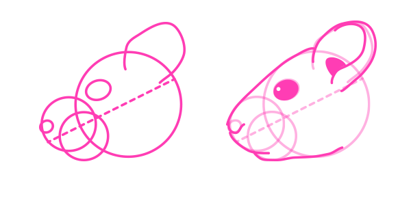 动物画教程：如何画一只龙猫