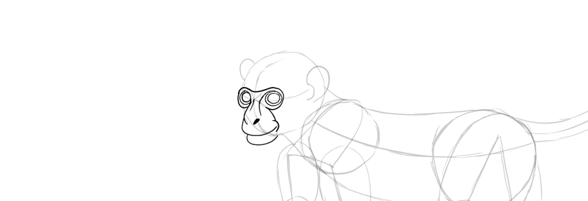 怎么画出比较真实的猴子？