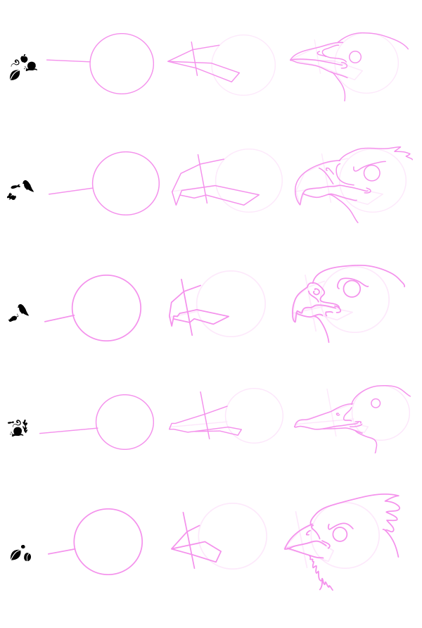 如何画鸟？专业教程教你学会画各种鸟类