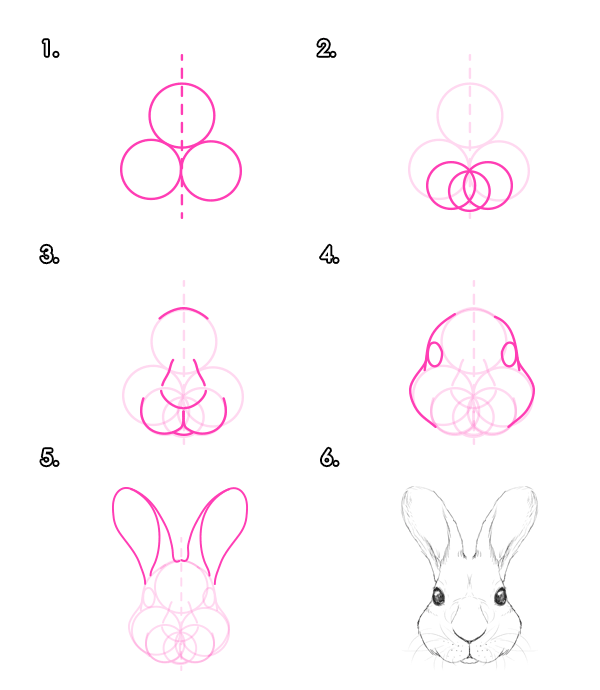 如何画动物：野兔和兔子