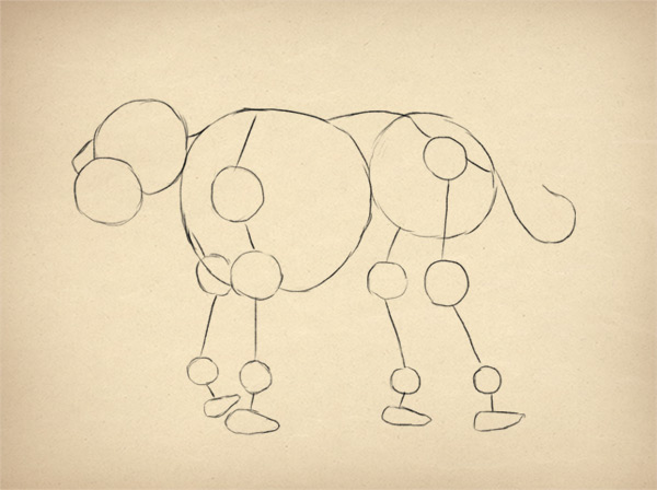 专业画大象教程：大象的分解与绘画