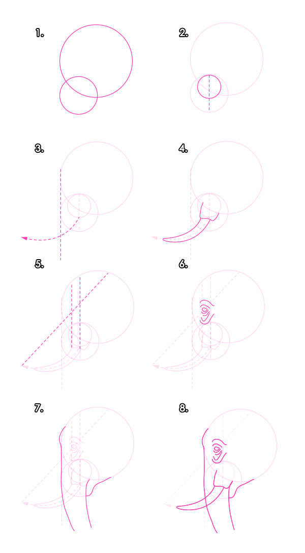 专业画大象教程：大象的分解与绘画