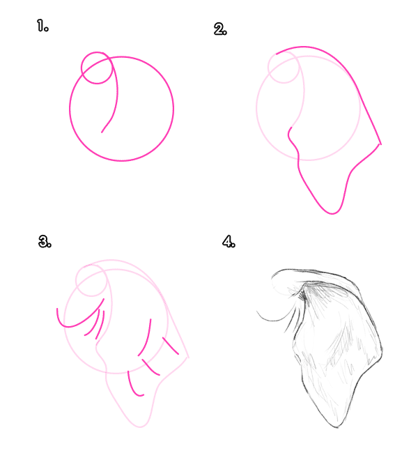 专业画大象教程：大象的分解与绘画