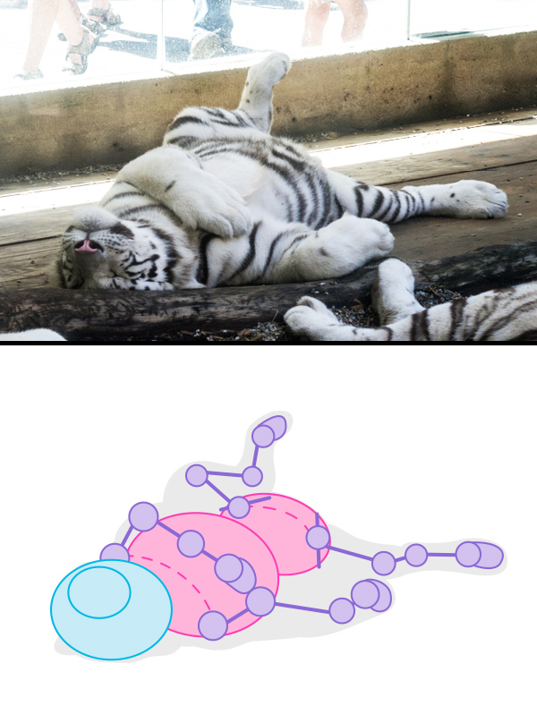 怎么画动物：画姿势的重要性